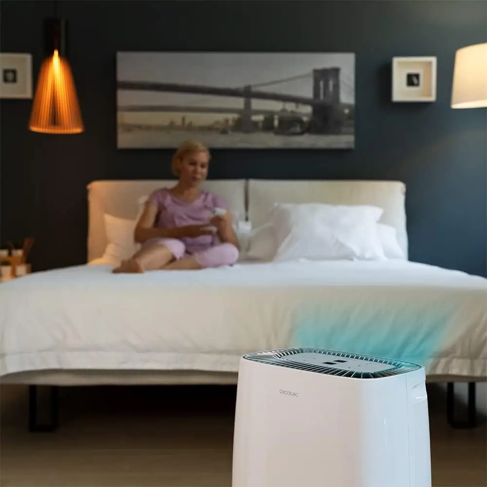 Para habitación: BigDry 4000